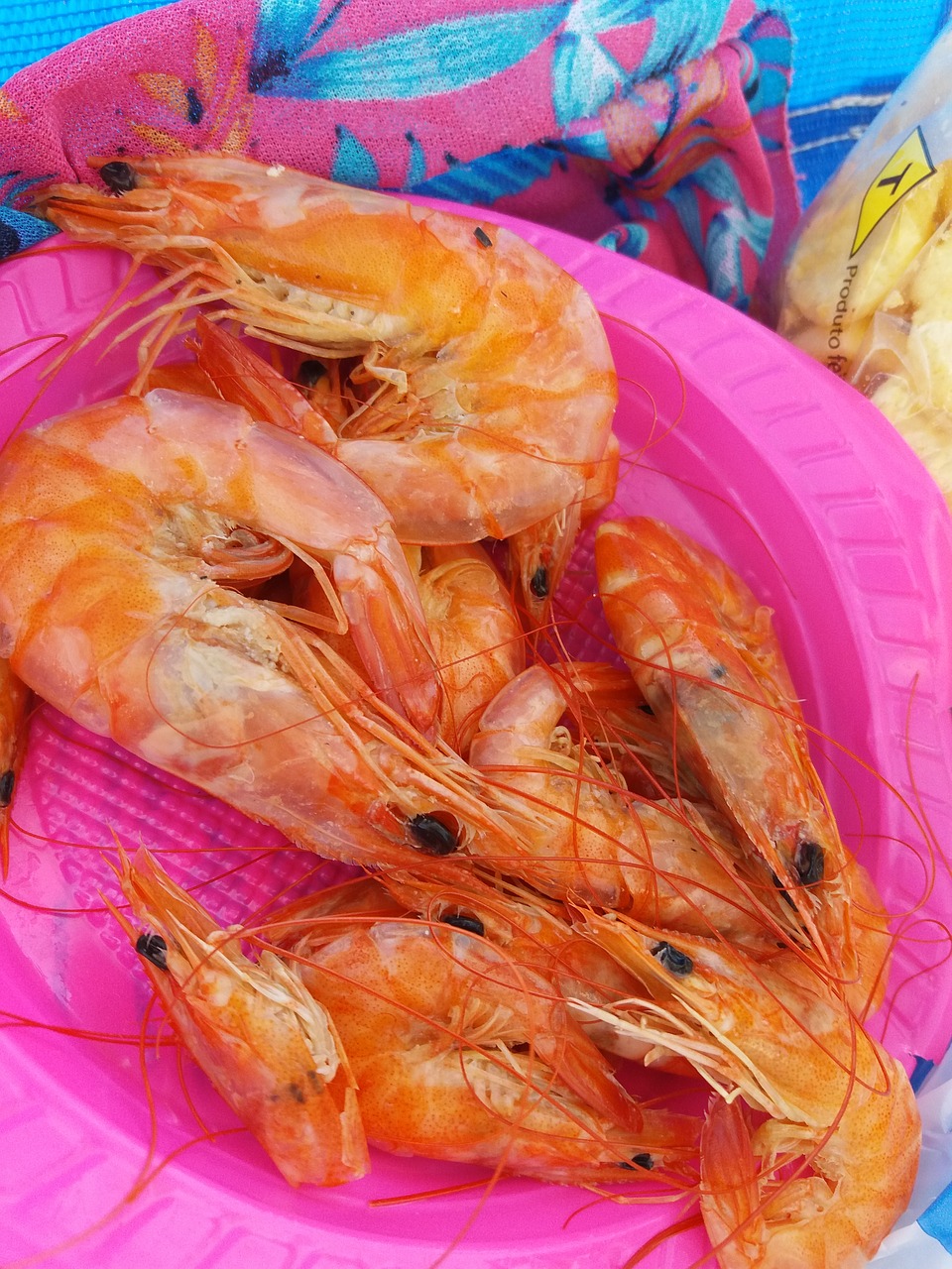 shrimp  red  food free photo