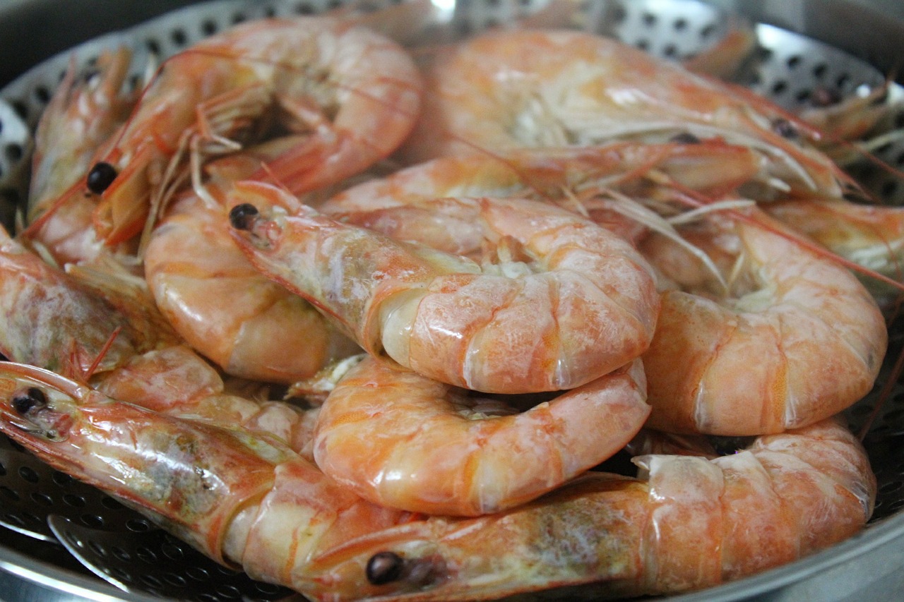 shrimp food steamed shrimp free photo