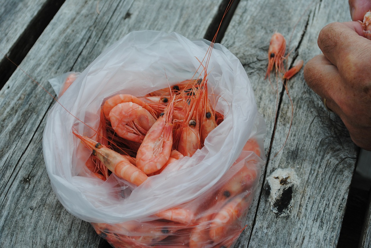 shrimp fischer food free photo