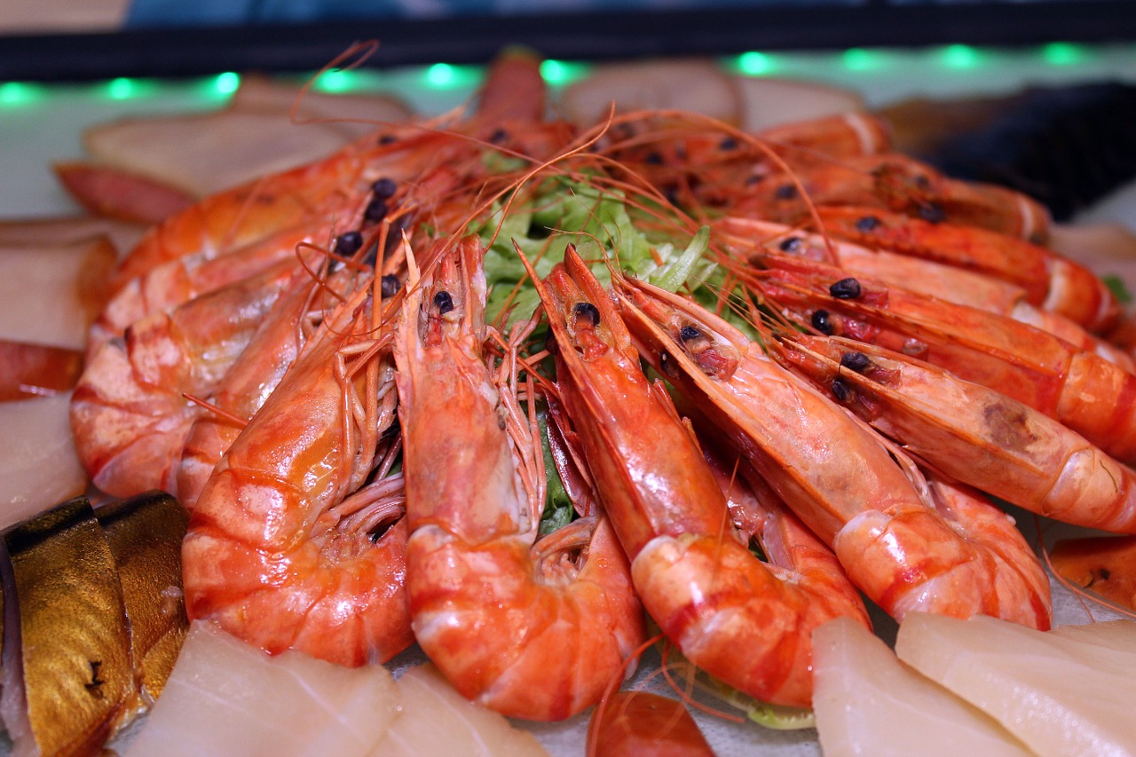 shrimp starter scampi free photo