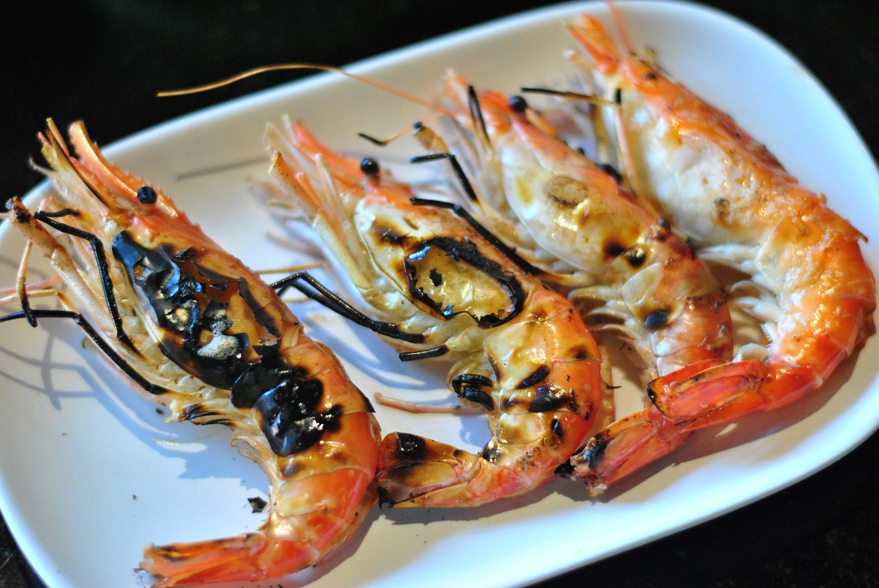 shrimp grilled shrimp food free photo