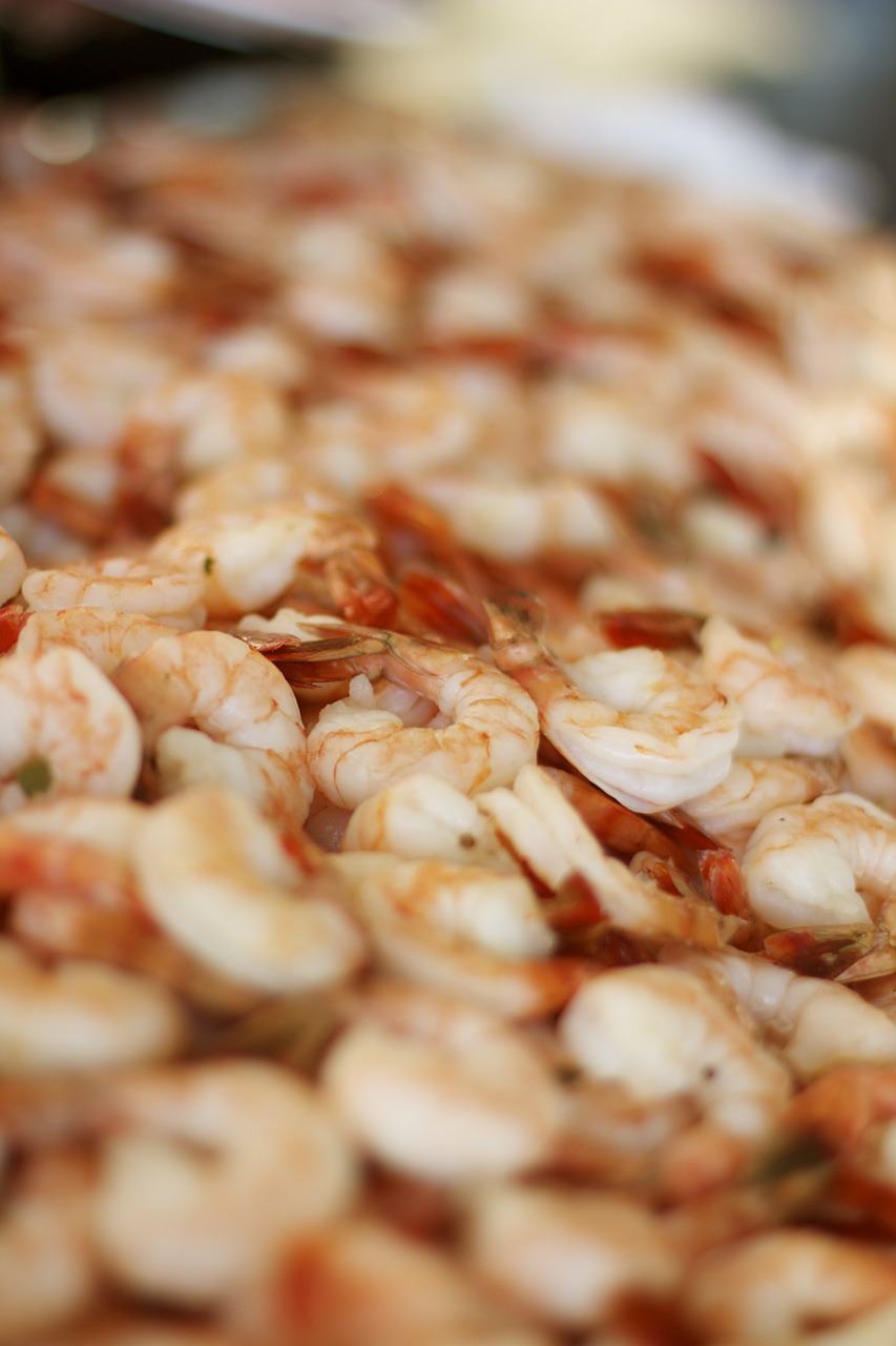 shrimp food meal free photo