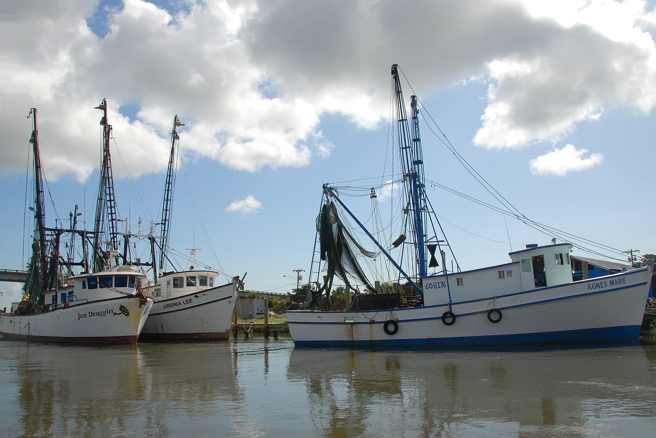 shrimp boat netter nets free photo