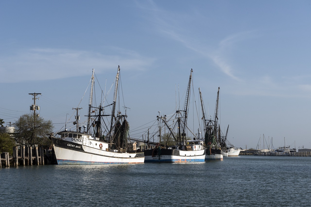 shrimp boats moored inlet free photo