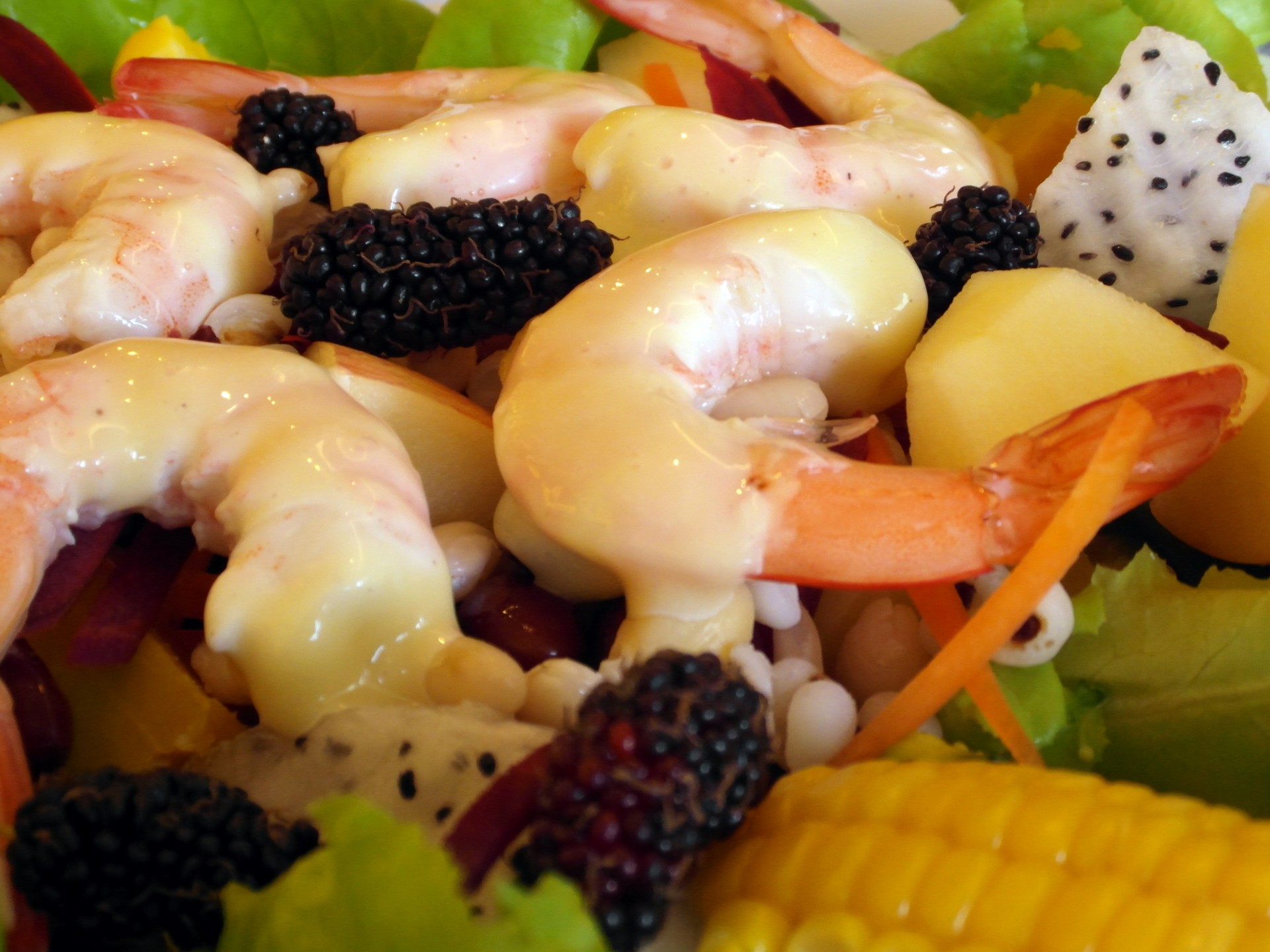shrimp prawn salad free photo