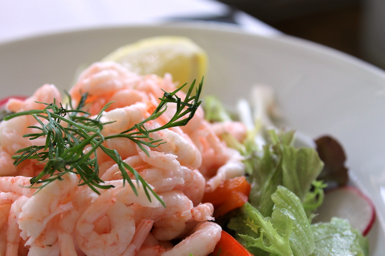 shrimp salad today's lunch shrimp free photo