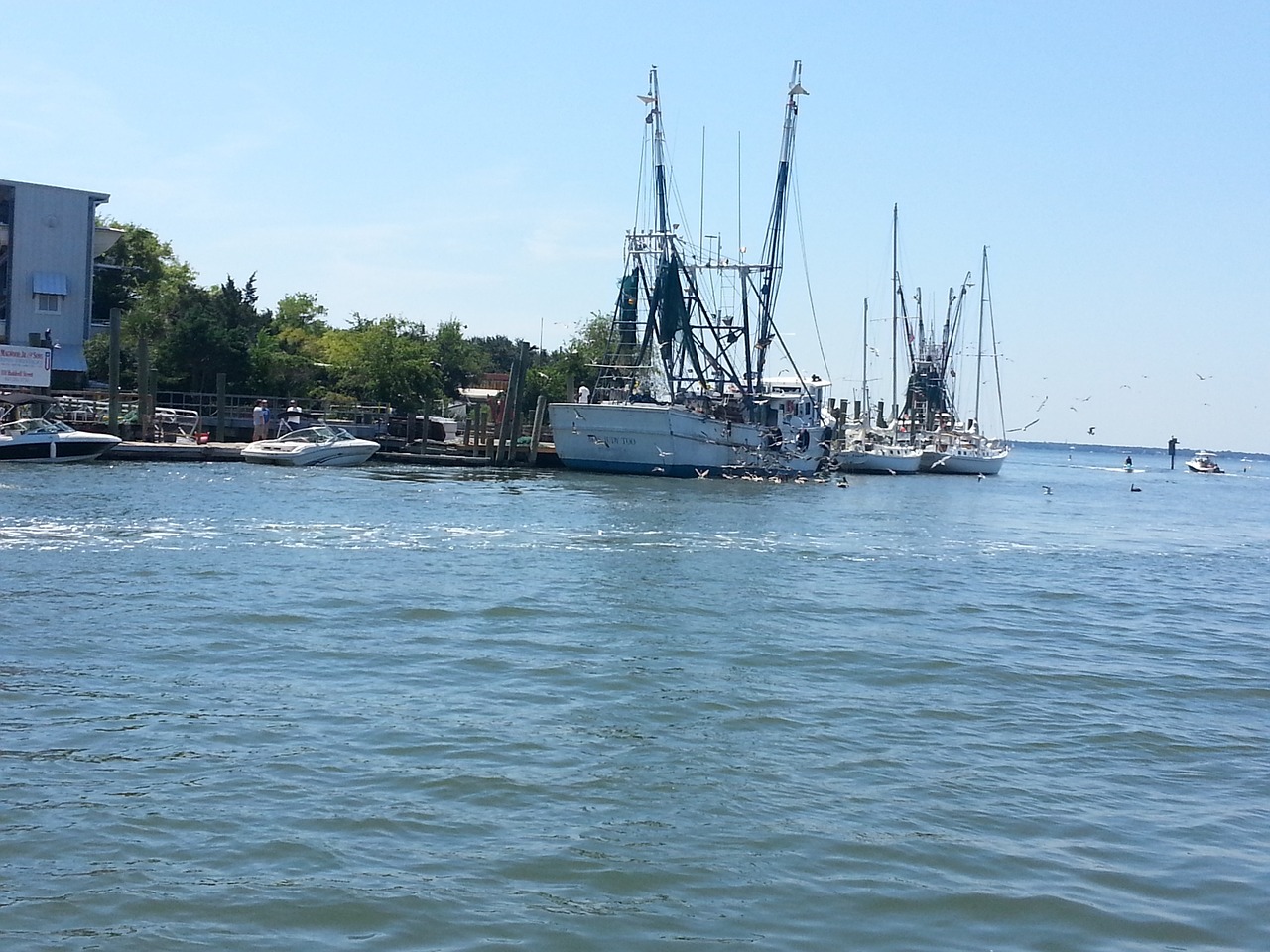 shrimper shrimp boat water free photo