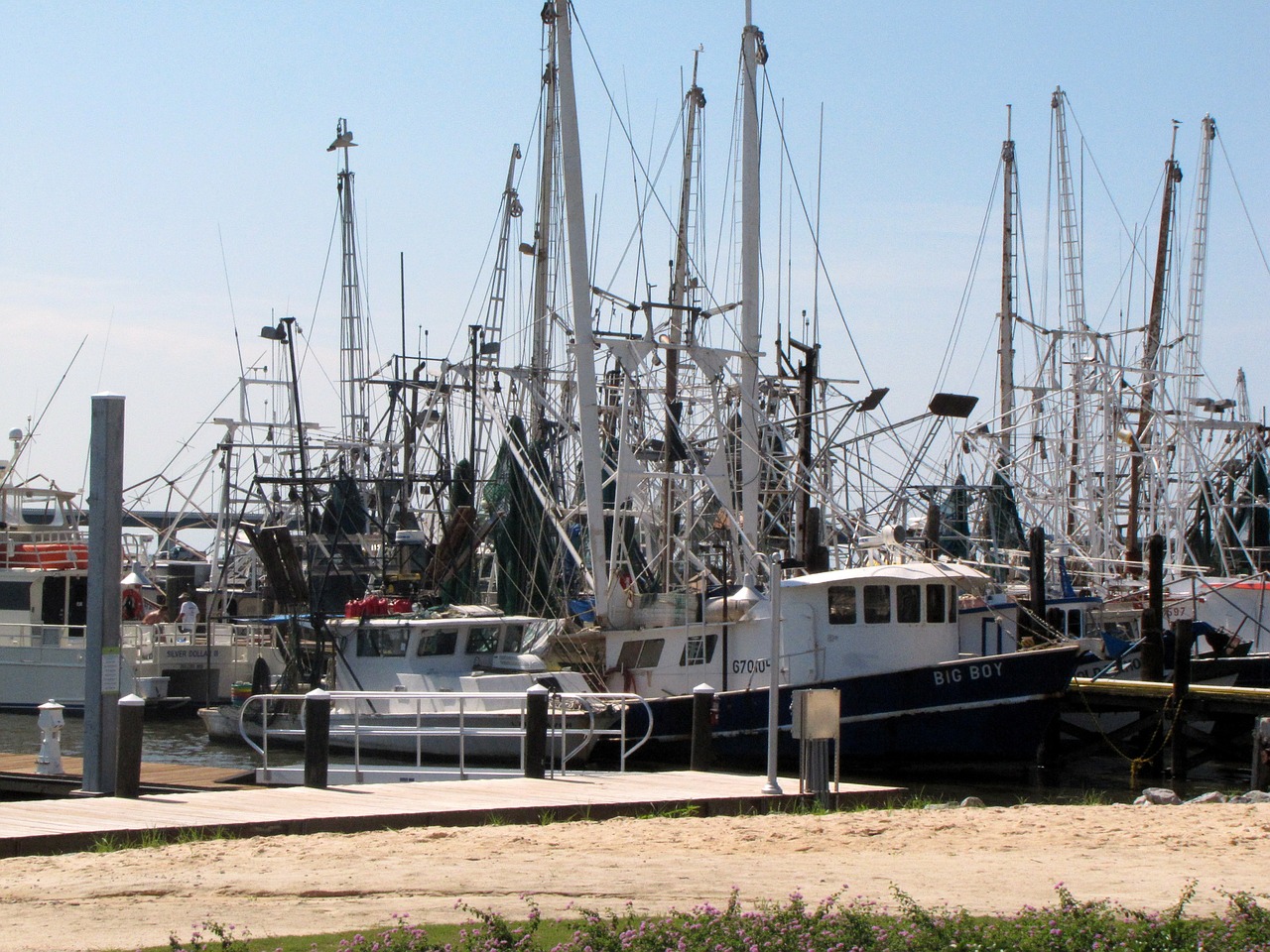 shrimping boats gulf free photo