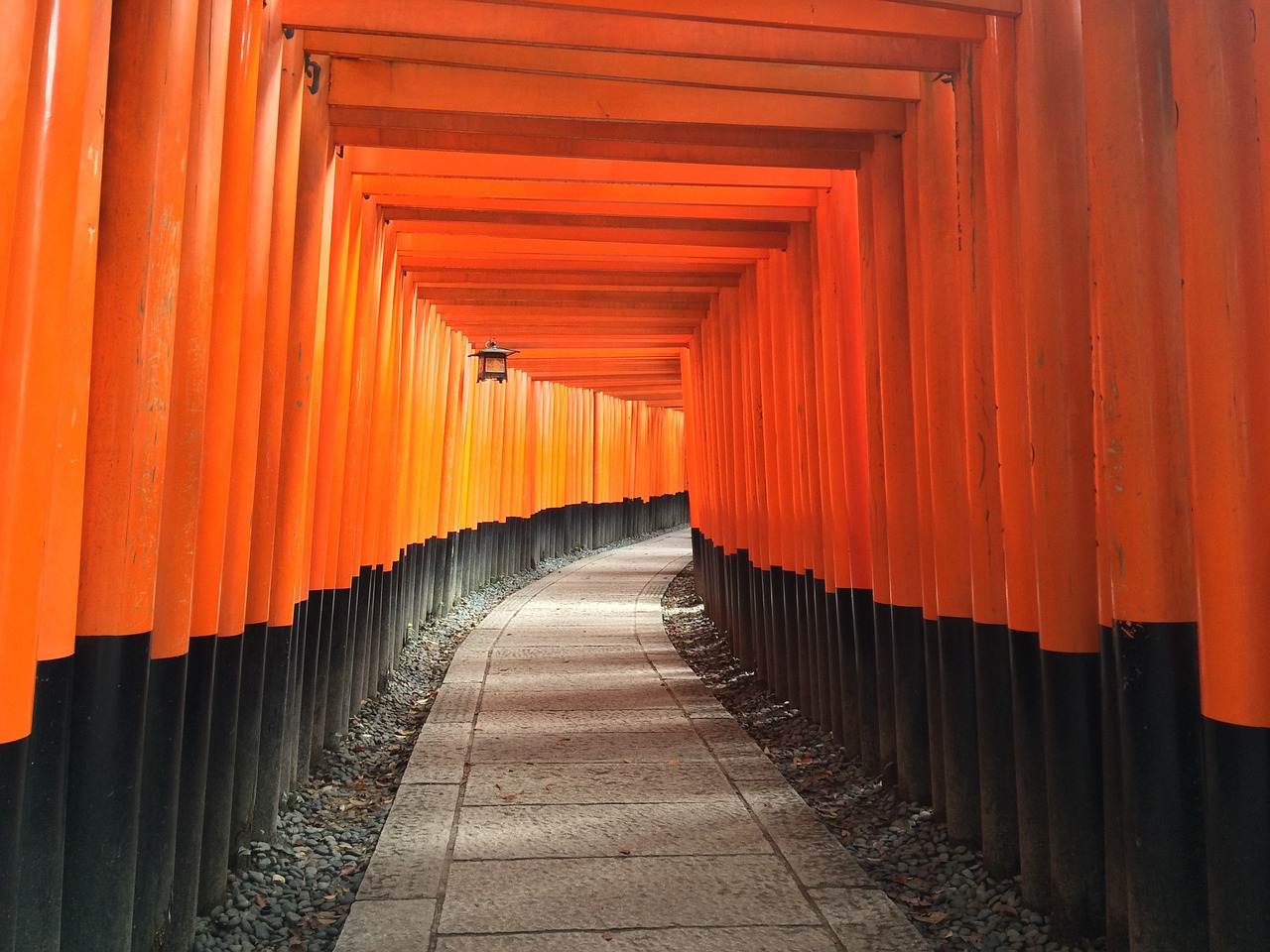 shrine inari path free photo