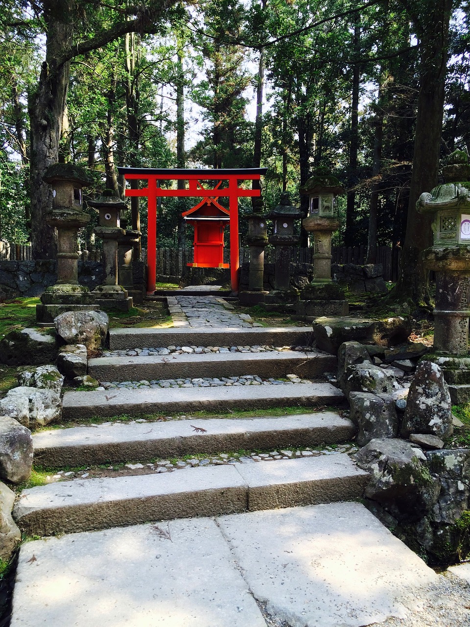 shrine torii road free photo