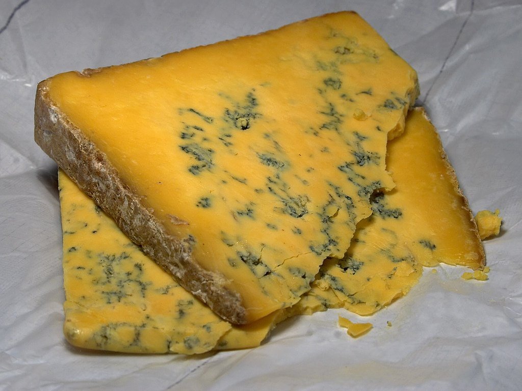shropshire blue cheese blue mold mold free photo