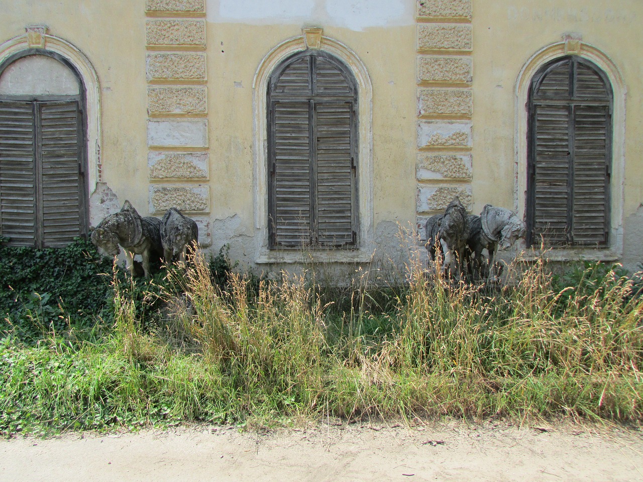 shutter abandoned house