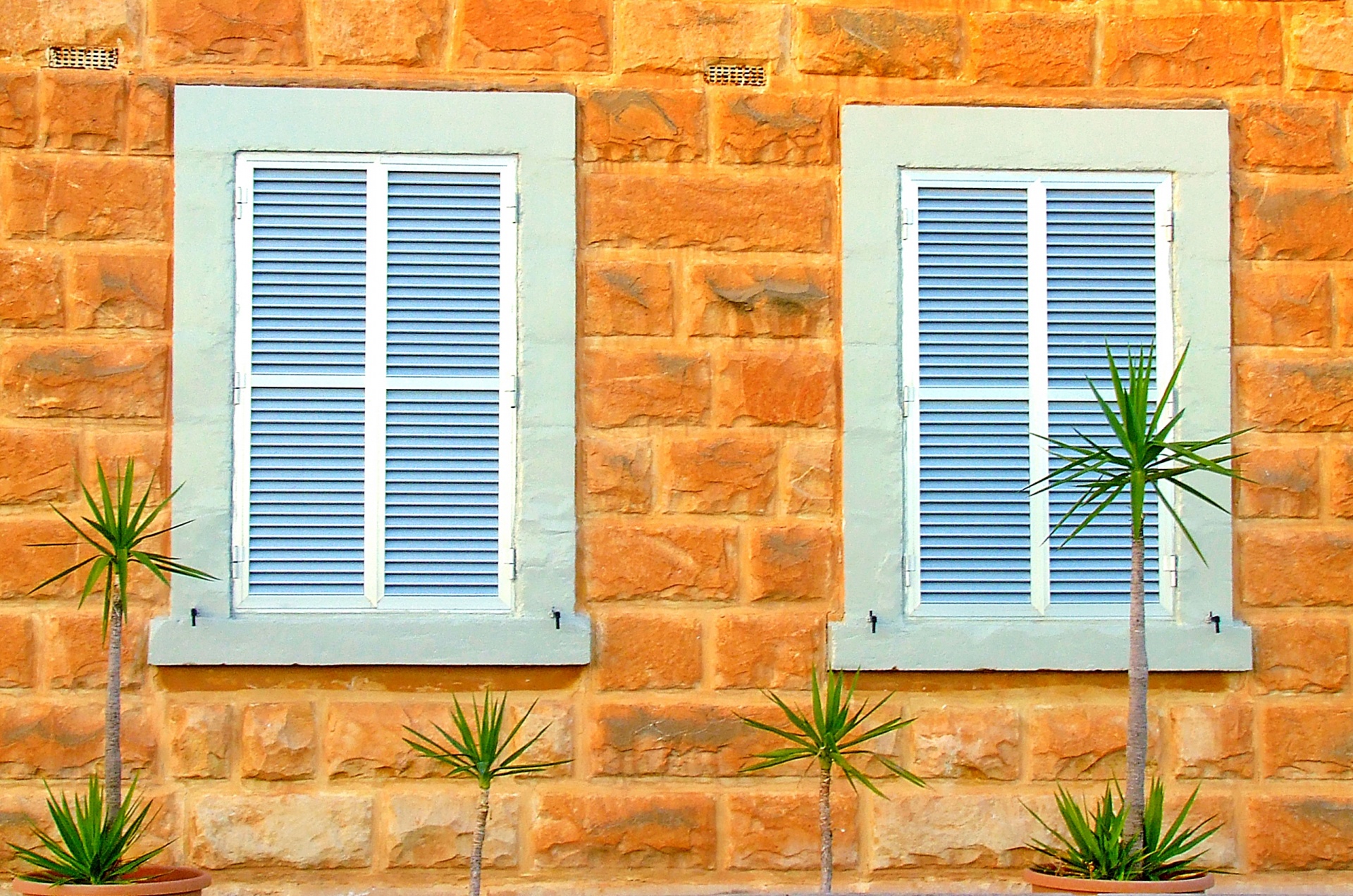 shutters windows shuttered windows free photo