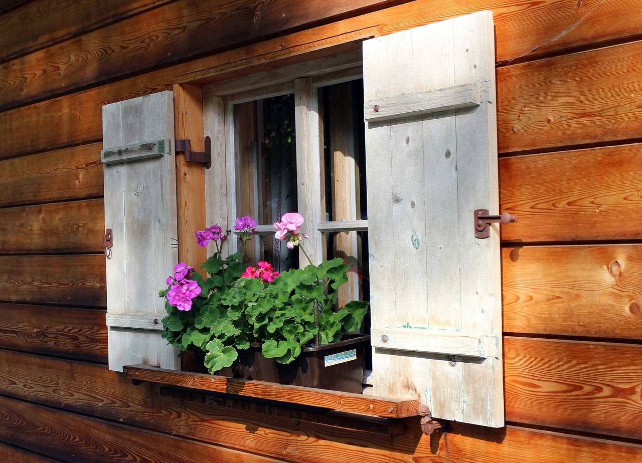 shutters window wooden windows free photo