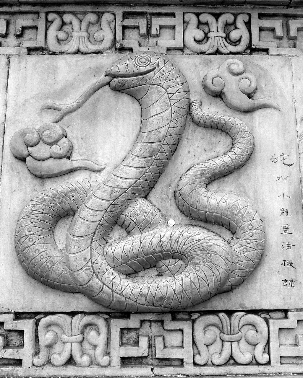 si snake oriental free photo