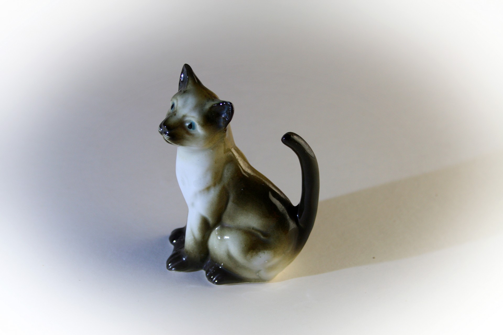 cat porcelain small free photo