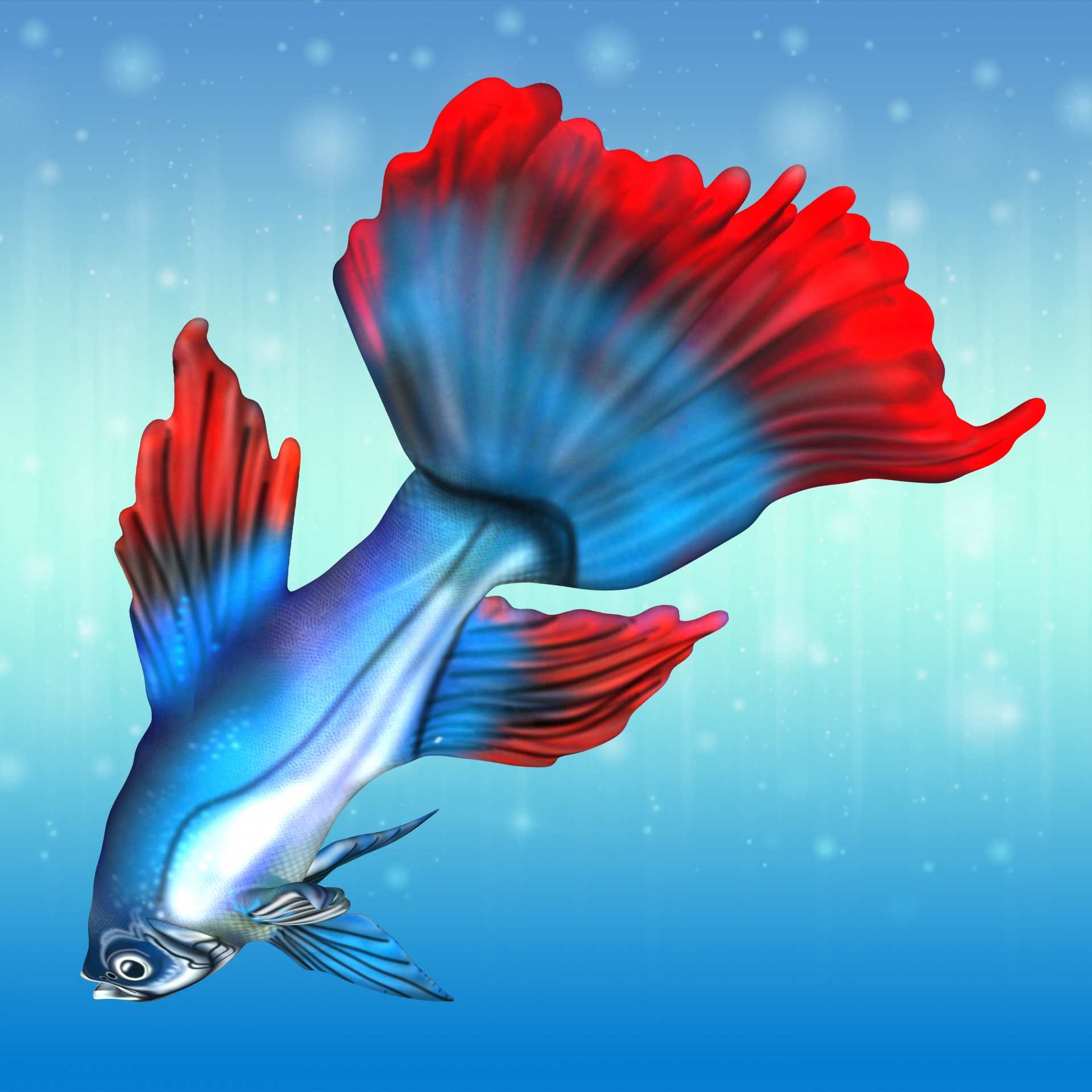 blue fish isolated free photo