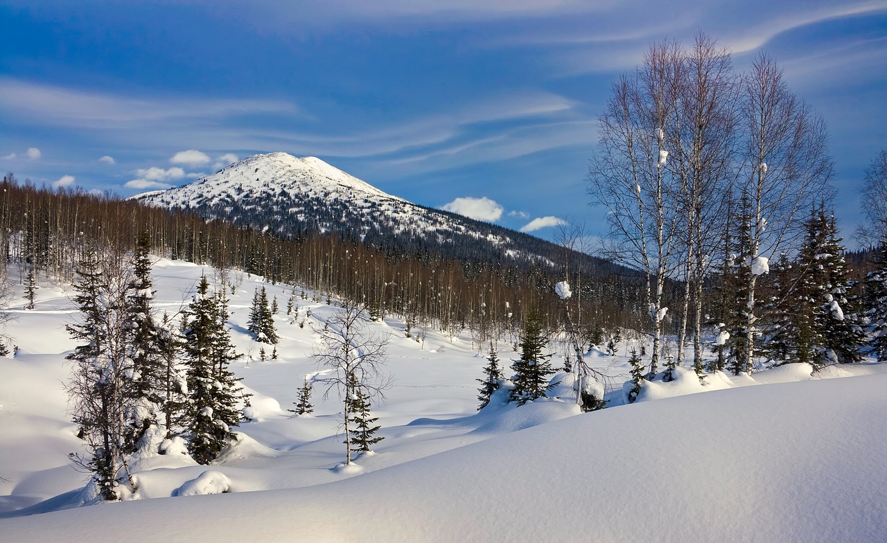 siberia  russia  winter free photo