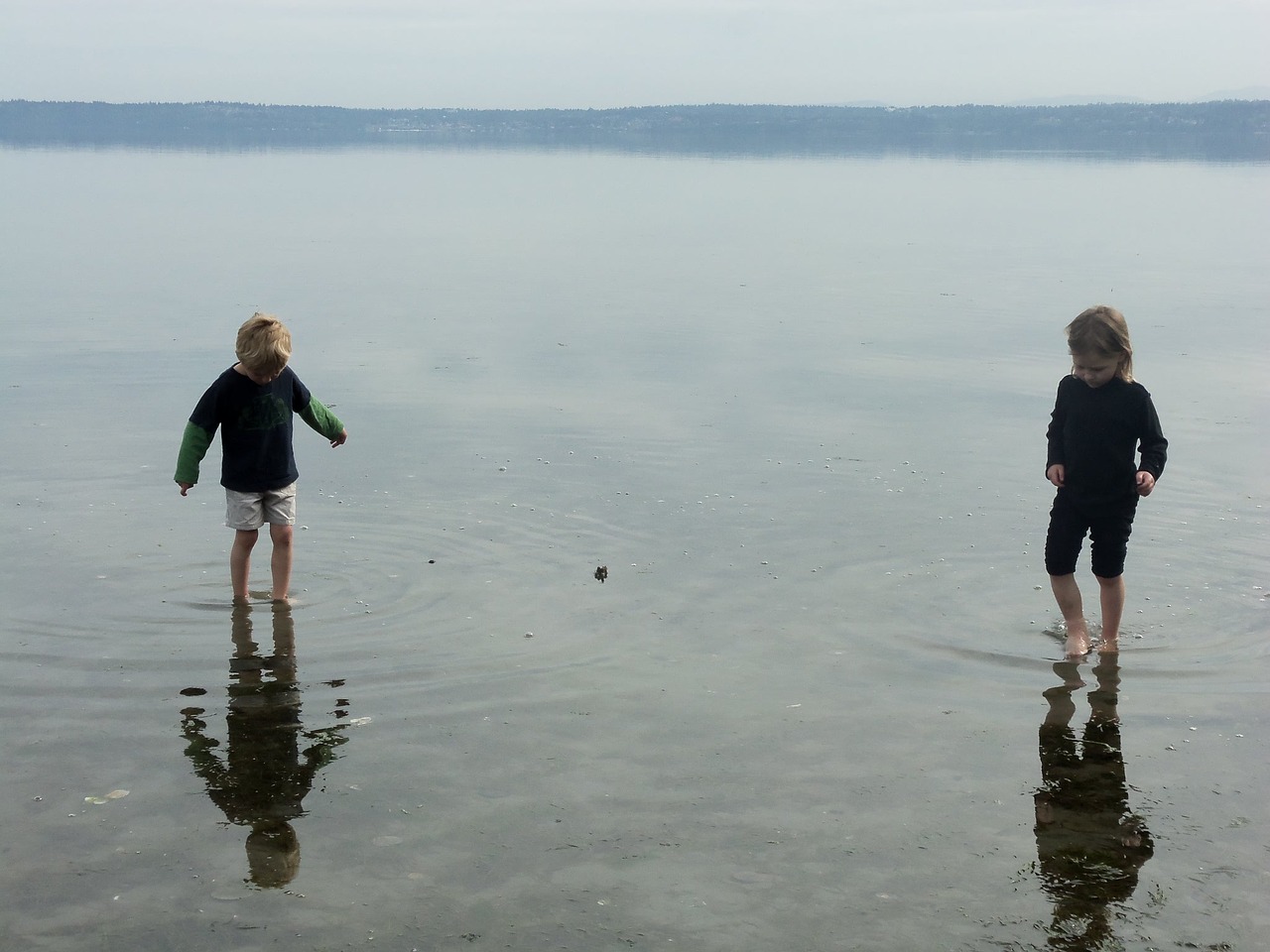 siblings reflections water-walking free photo
