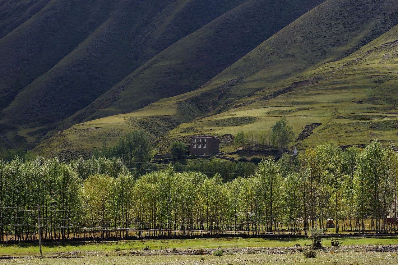 sichuan xinduqiao the scenery free photo