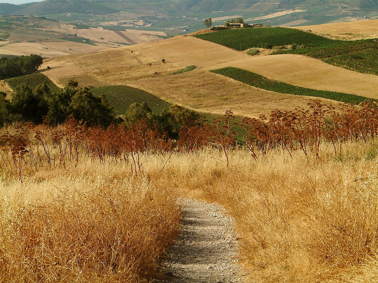 sicily hills countryside free photo