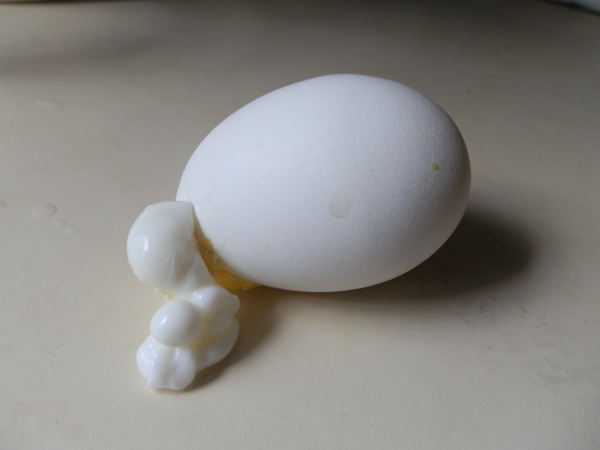 egg artistic broken free photo