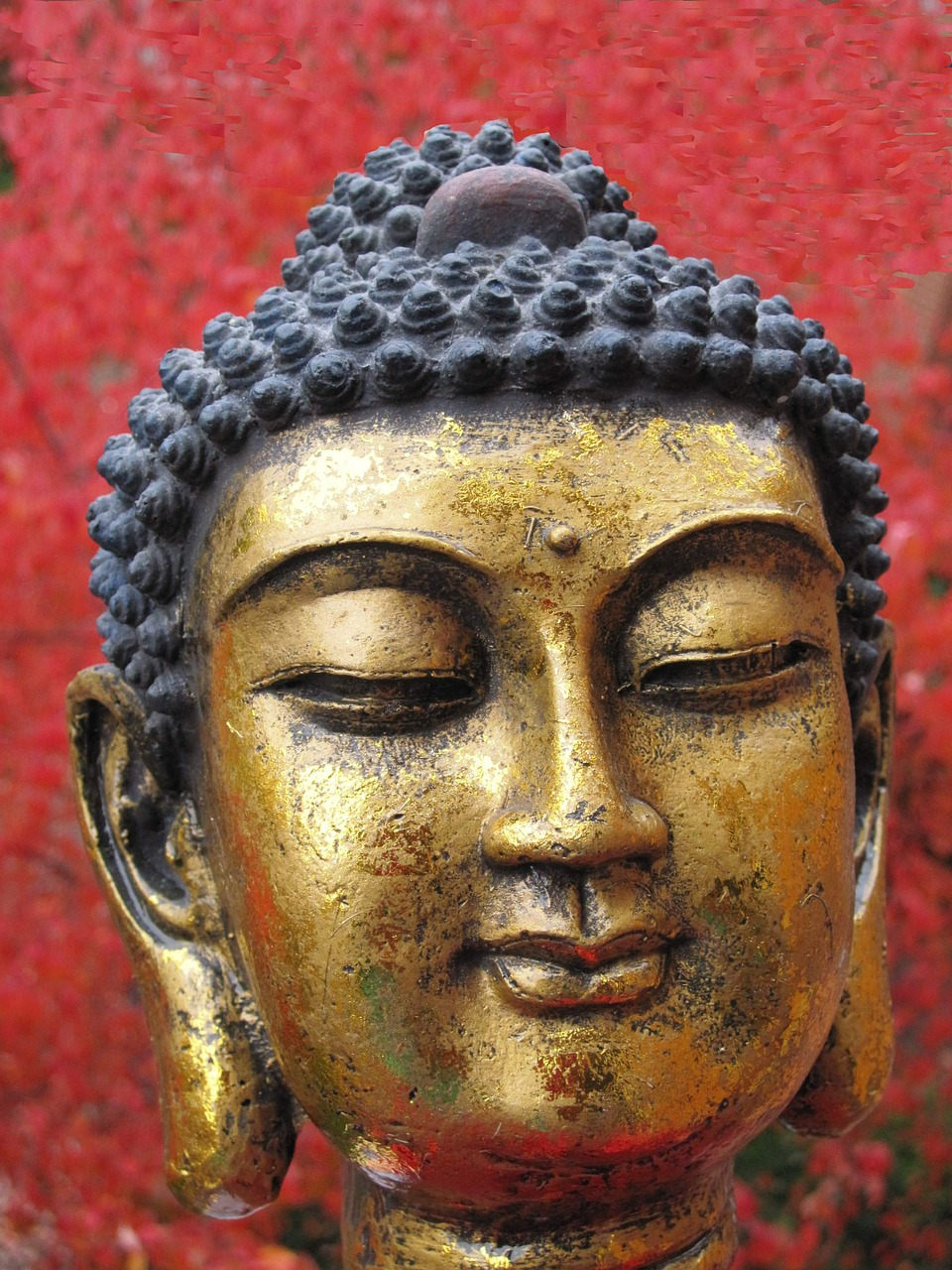 siddhartha gautama buddha head free photo