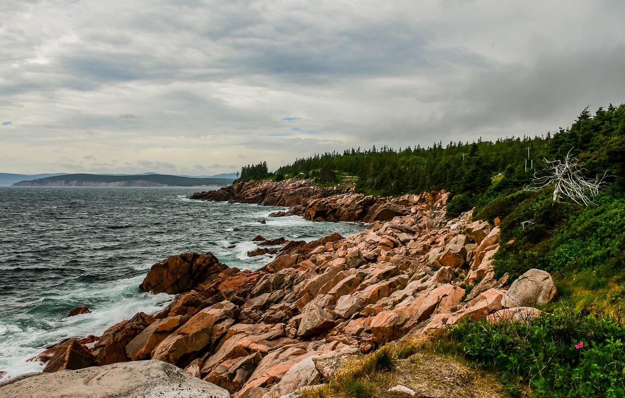 side  sea  rocks free photo