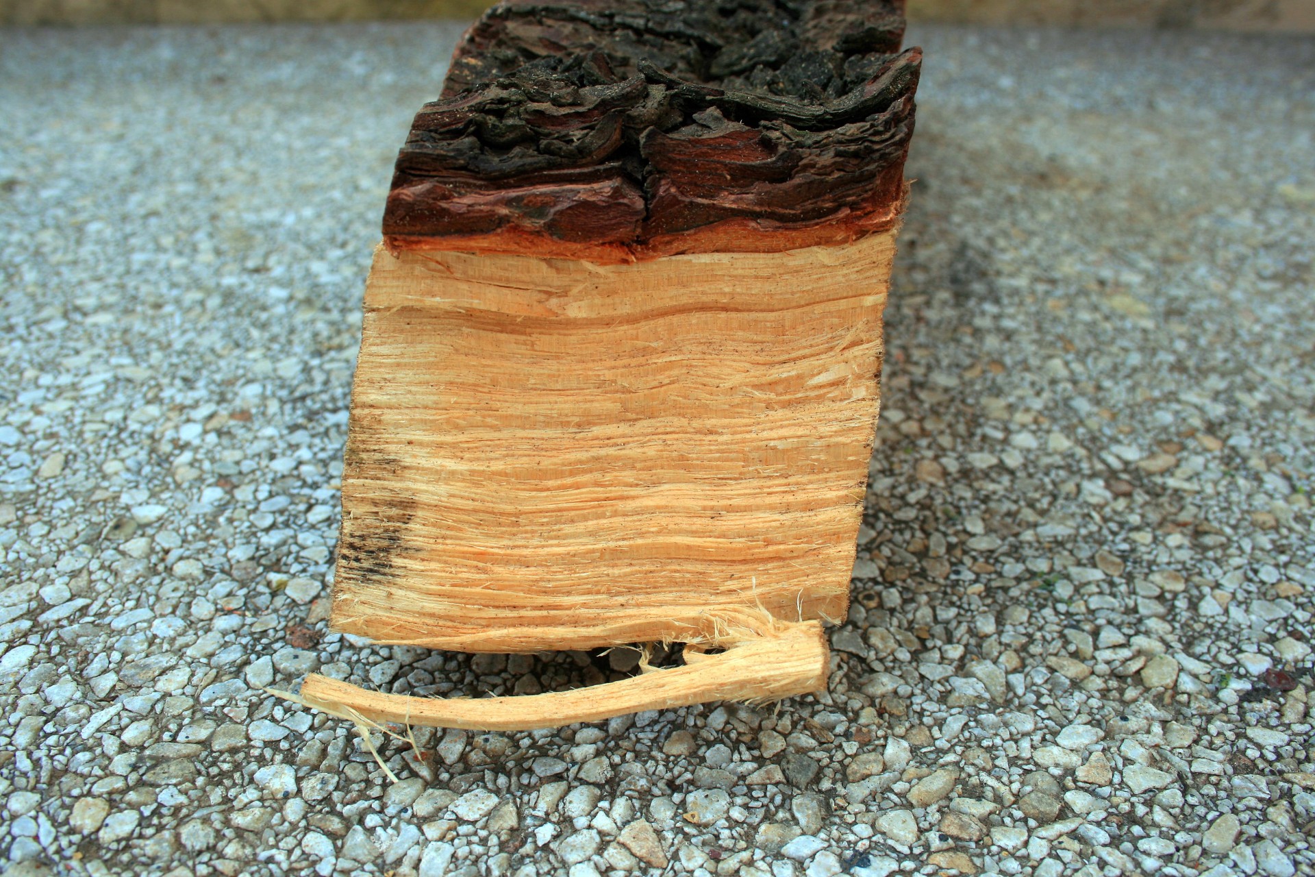wood wedge chopped free photo