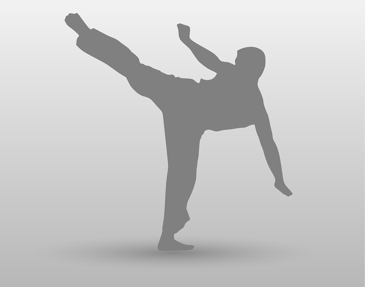 sidekick karate kick free photo