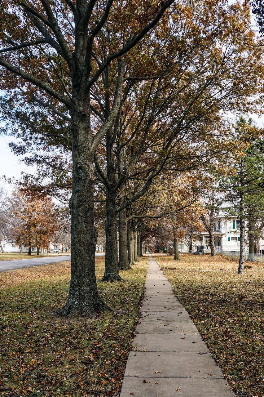 sidewalk fall autumn free photo