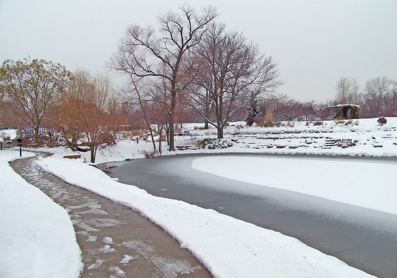 sidewalk frozen pond free photo