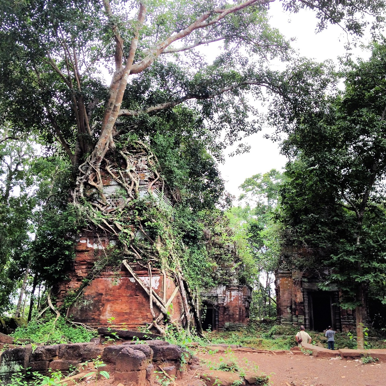 siem reap angkor thom temple free photo