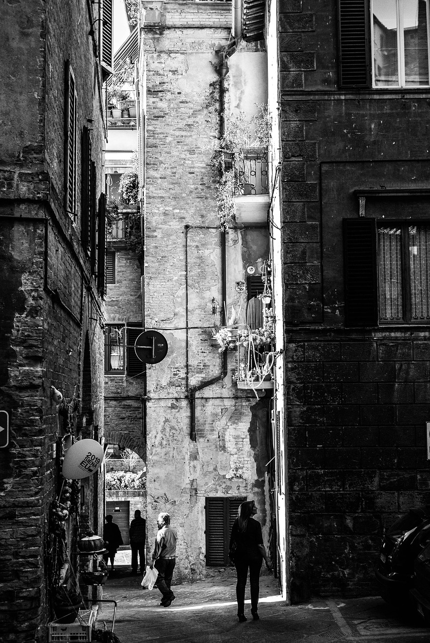 siena italy buildings italy free photo