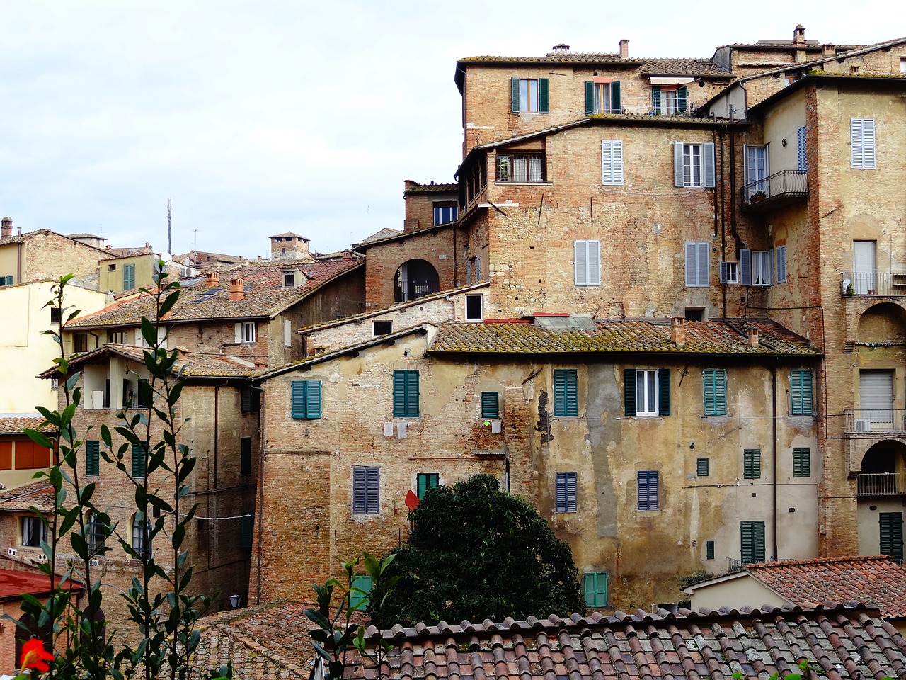 siena old building free photo