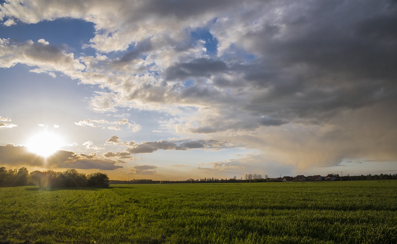 sierpc poland meadow free photo