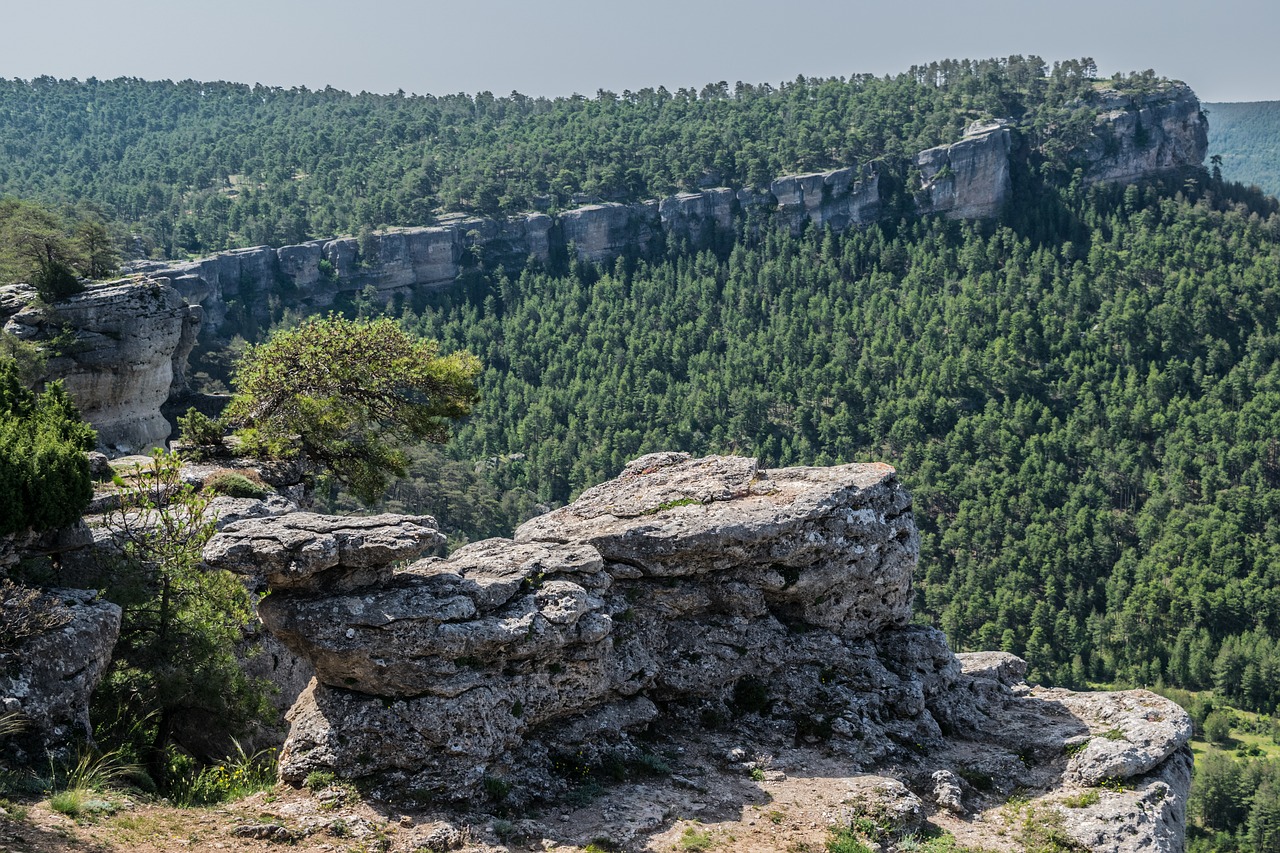 sierra  basin  landscapes free photo