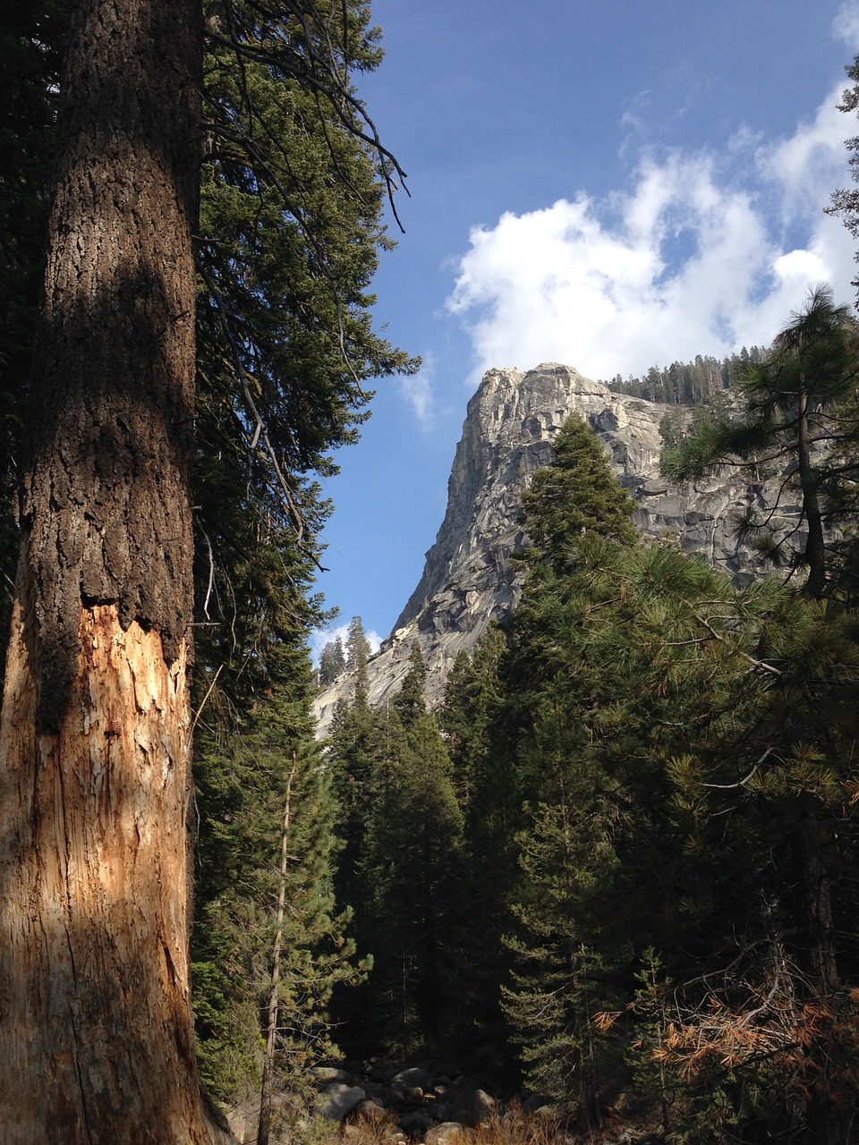 sierra nevada nature mountain free photo