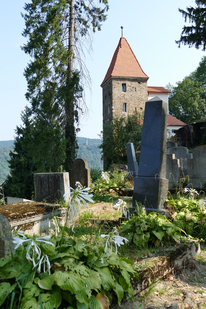 sighisoara  romania  transylvania free photo