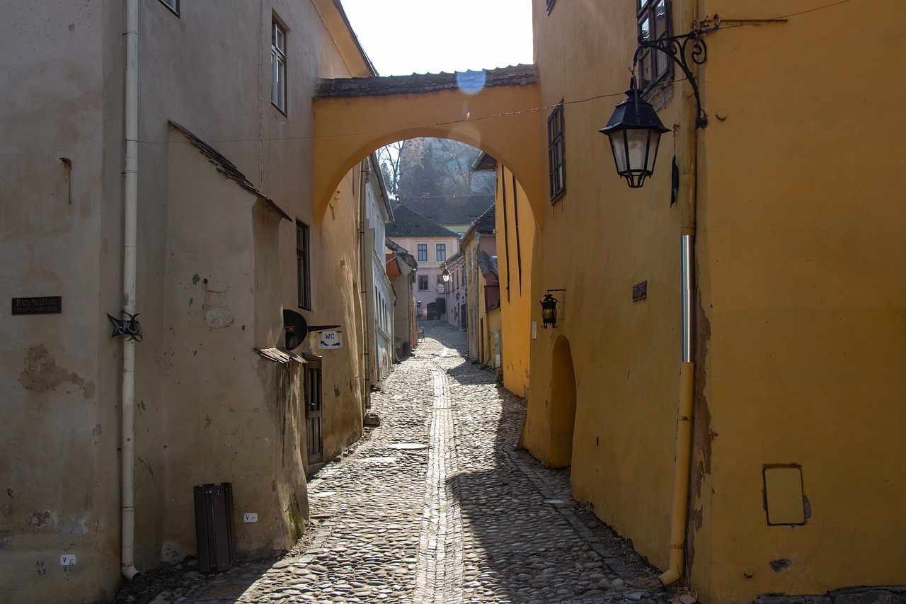 sighisoara  transylvania  romania free photo