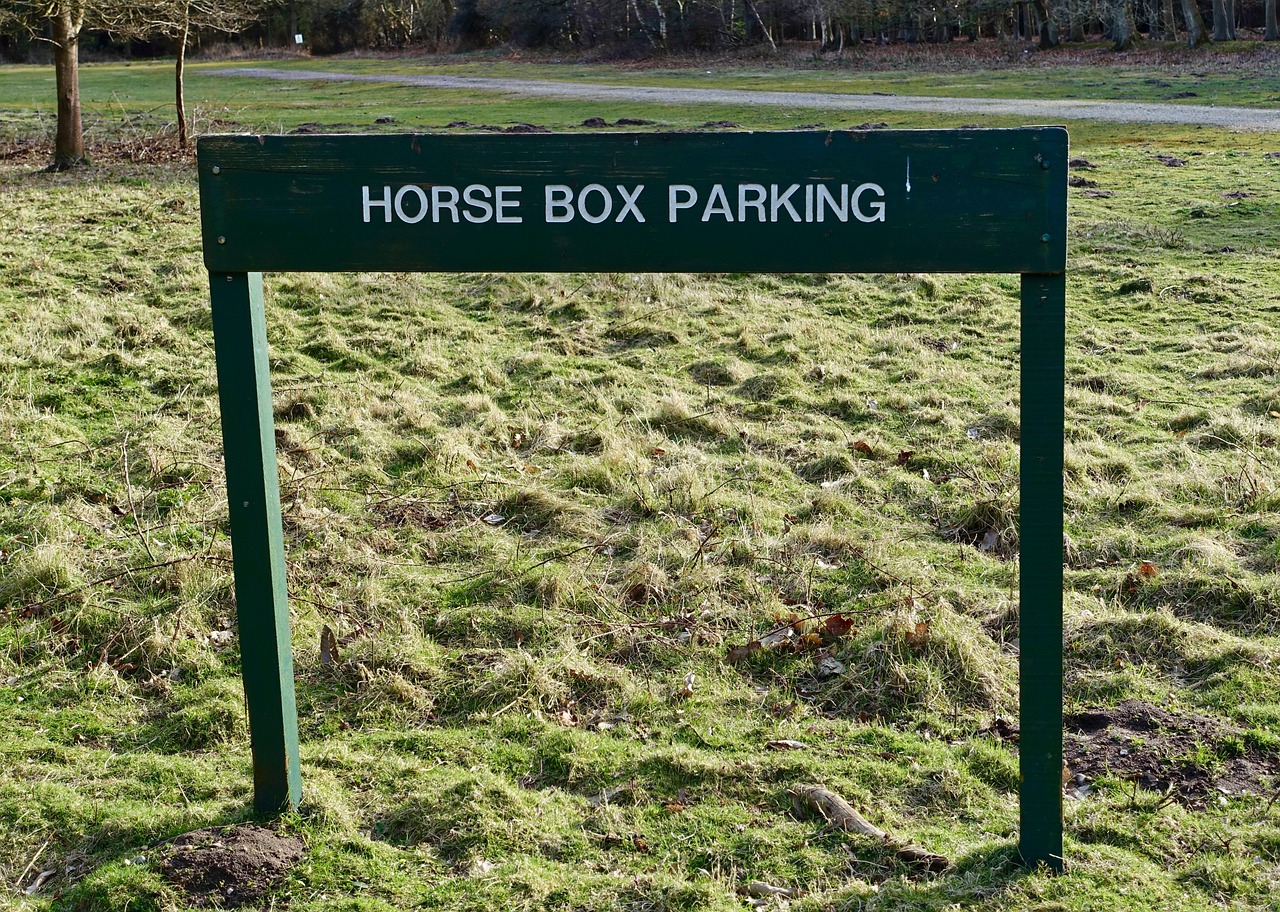 parking horse sign free photo