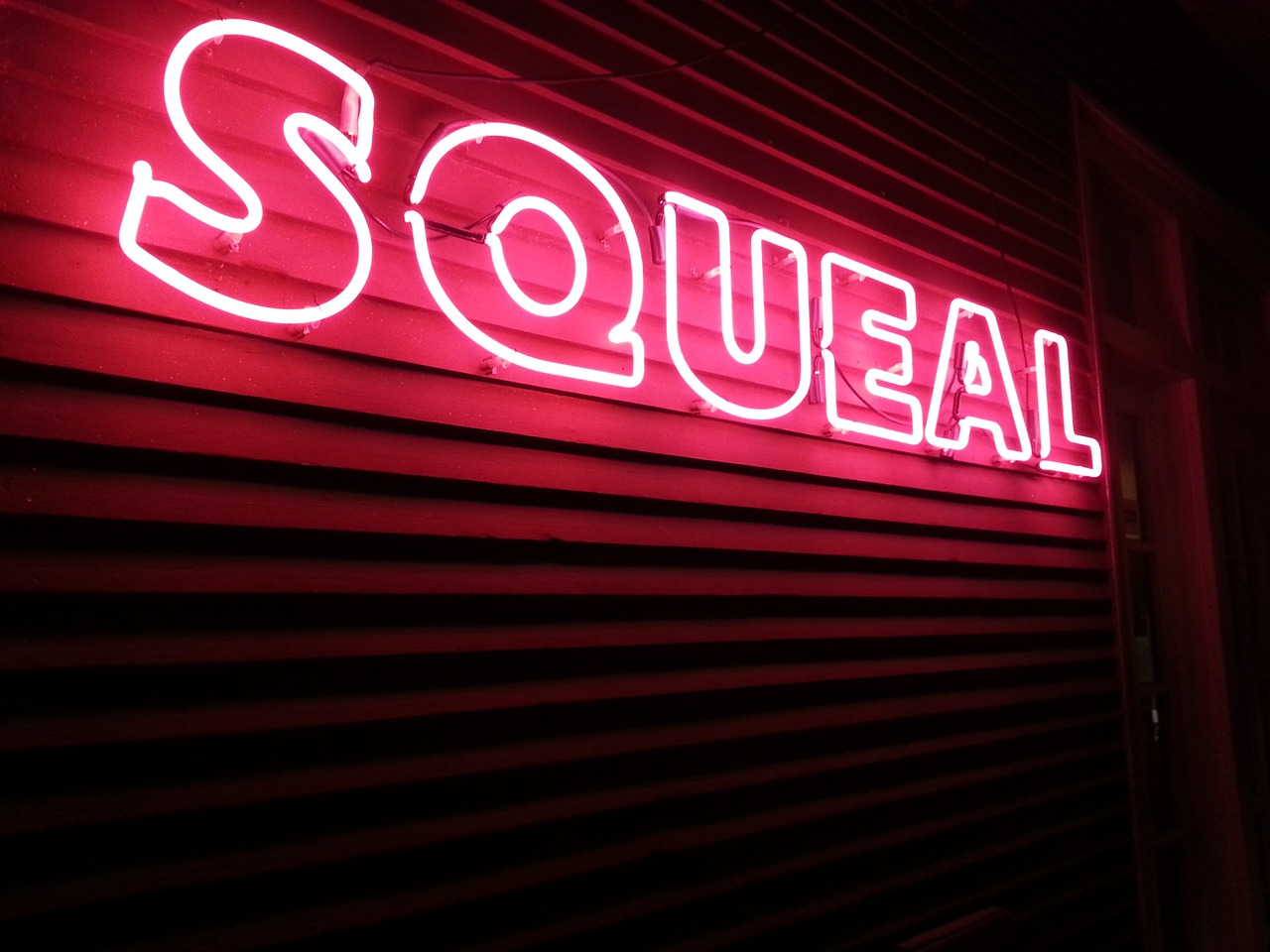 sign neon squeal free photo