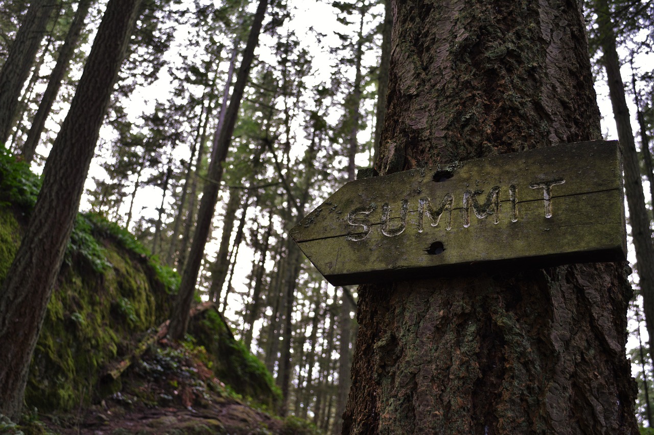 hiking trail path free photo