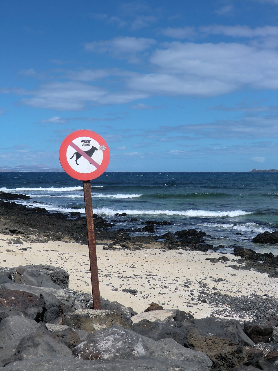 sign sea sand free photo