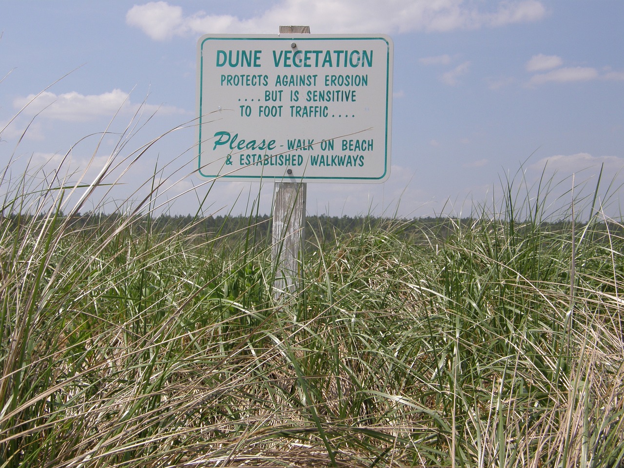 sign coast beach free photo