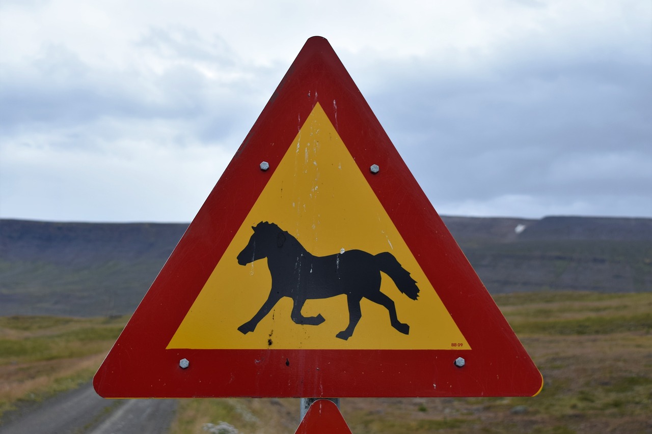 sign horse crossing free photo