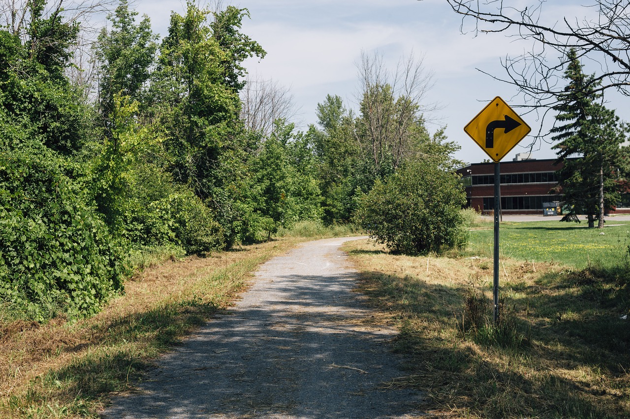 sign  path  right turn free photo