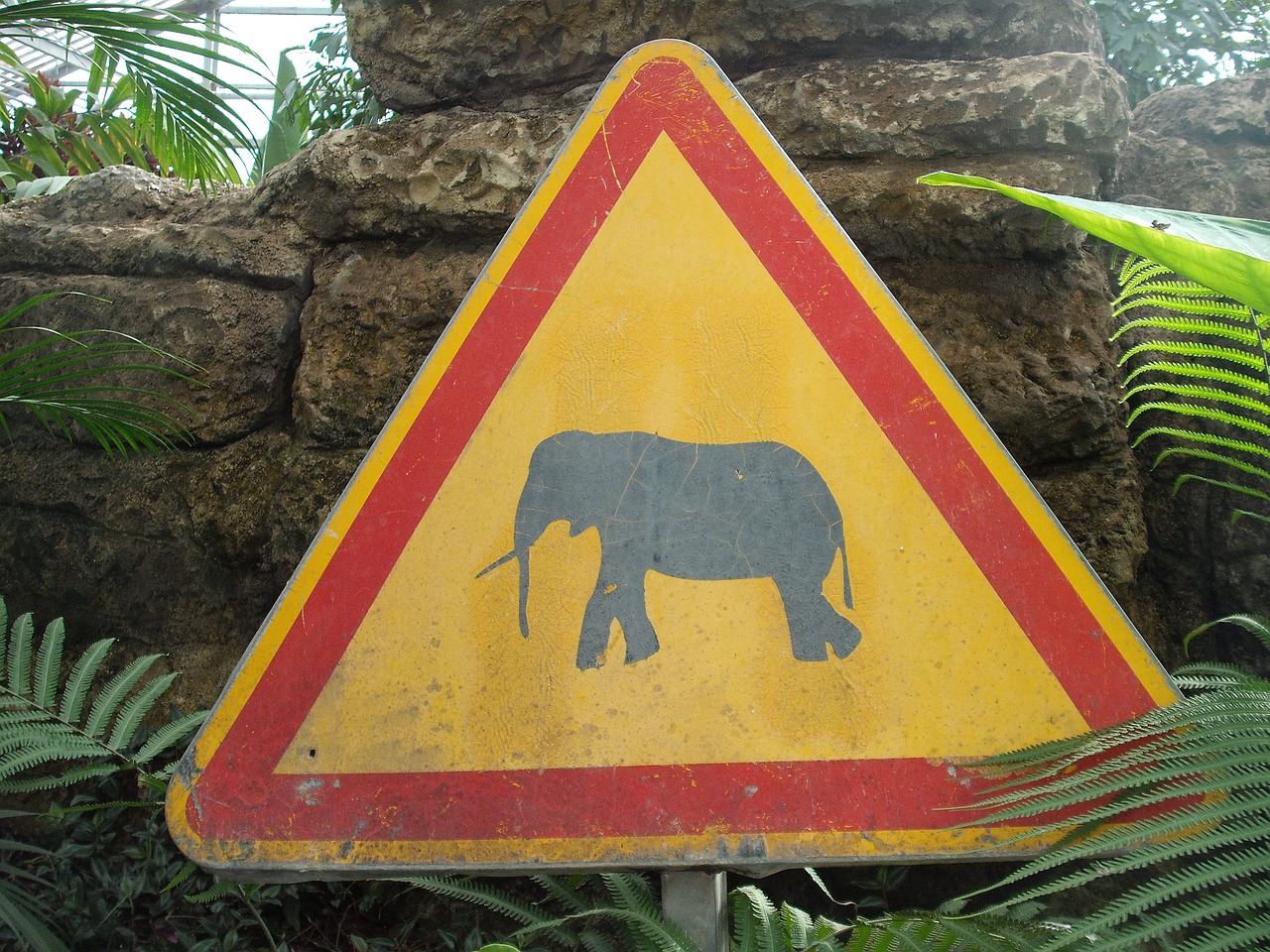 sign danger animals free photo