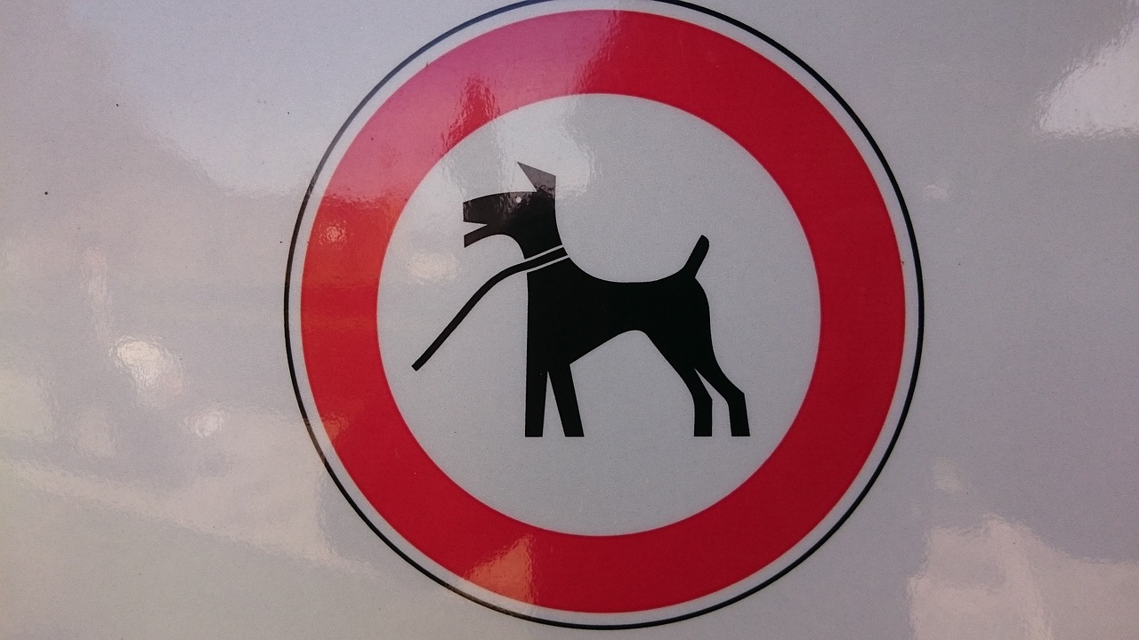 sign dog leech free photo