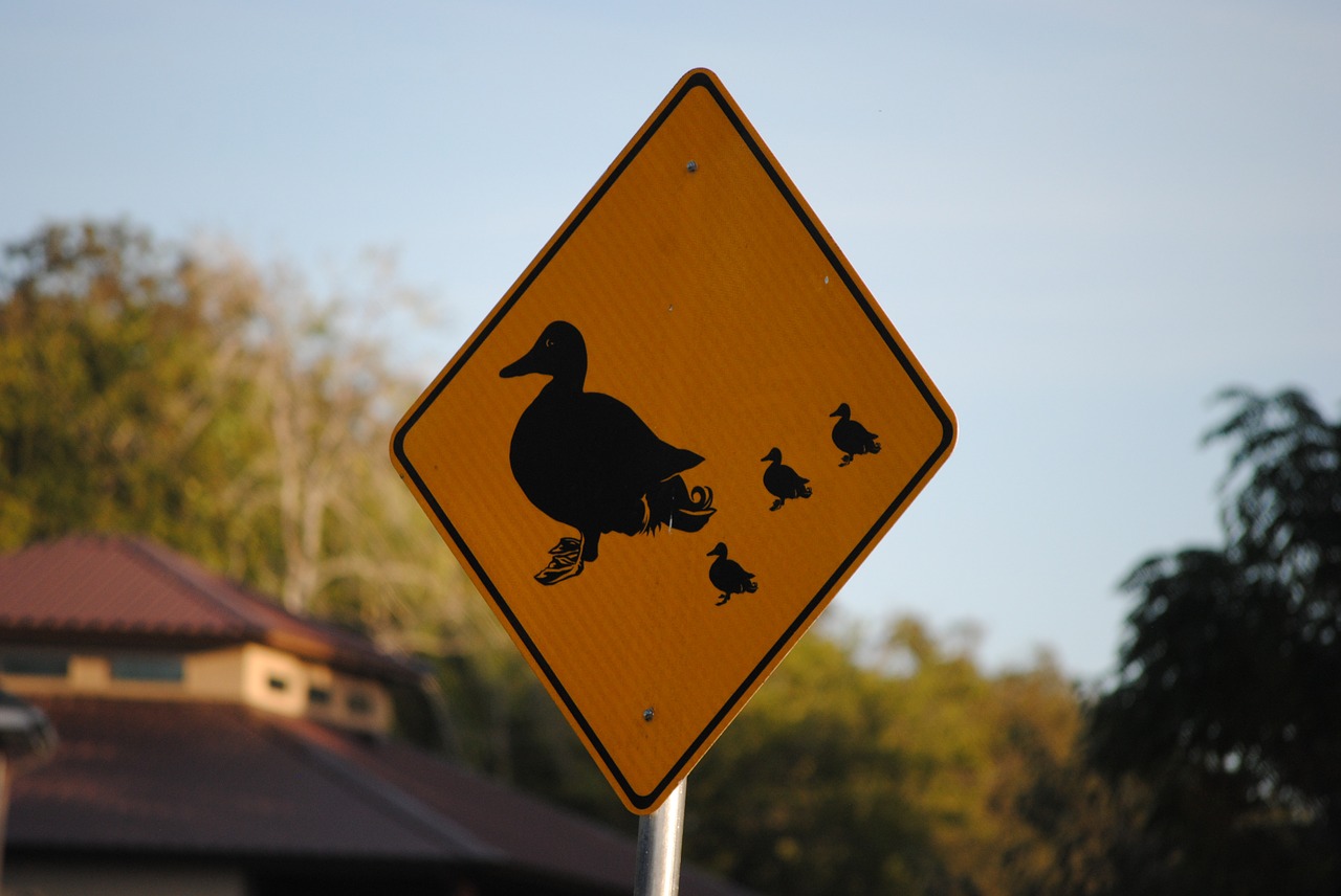 sign symbol duck free photo